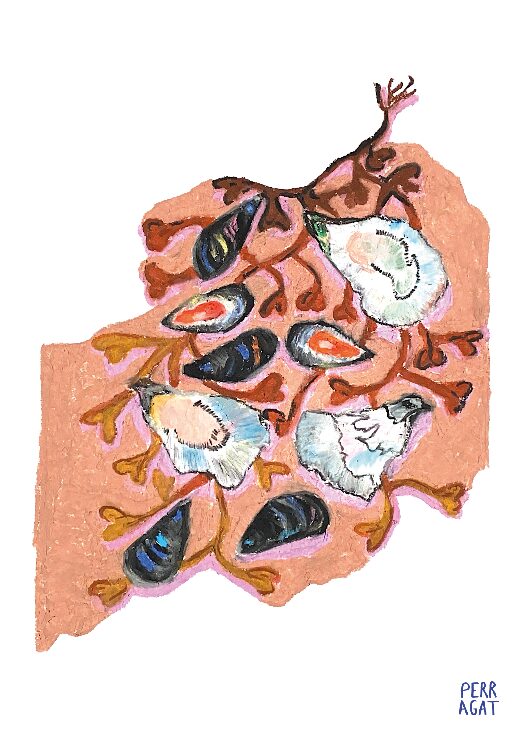la spéciale Kerisper