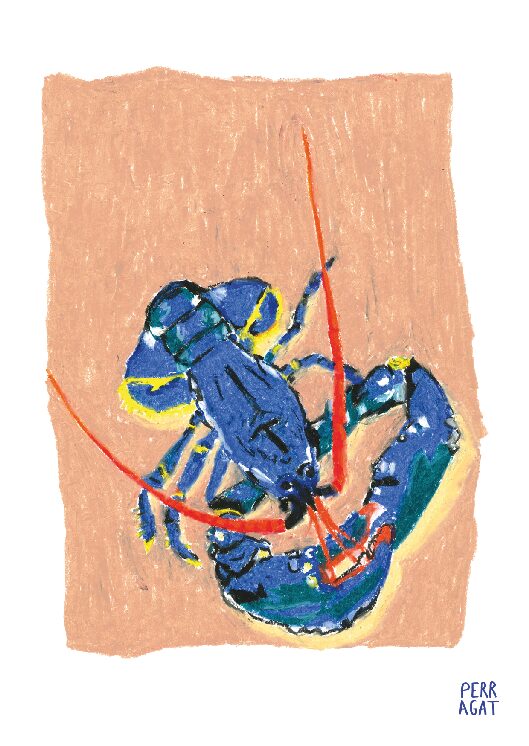 Homard